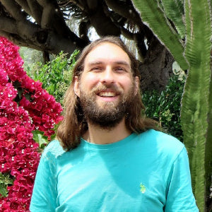 6 Healing Sessions with Macaya